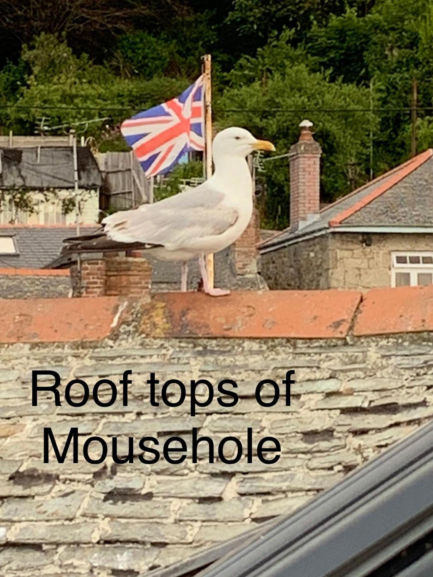 The Seawitch - Harbourside Apartment Mousehole Exterior photo